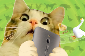 FRIDAY专栏 | 被憋疯的职场人，养起了猪牛羊鱼鸟...